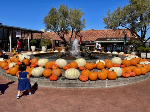 citrouilles de Halloween