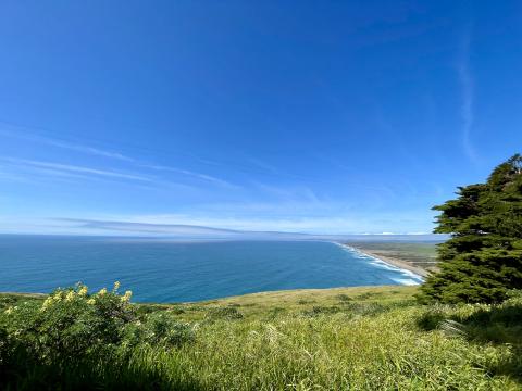 [Photo : immense plage à Point Reyes]