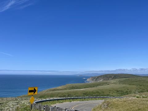 [Photo :  Route au bord du Pacifique à Point Reyes]