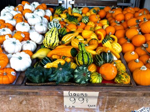 Citrouilles et courges sur un marché fermier à San Francisco