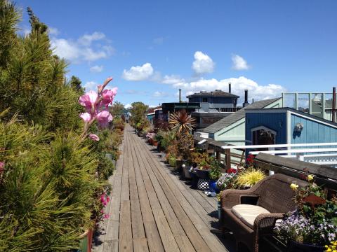 Photo : jardins et maisons flottantes